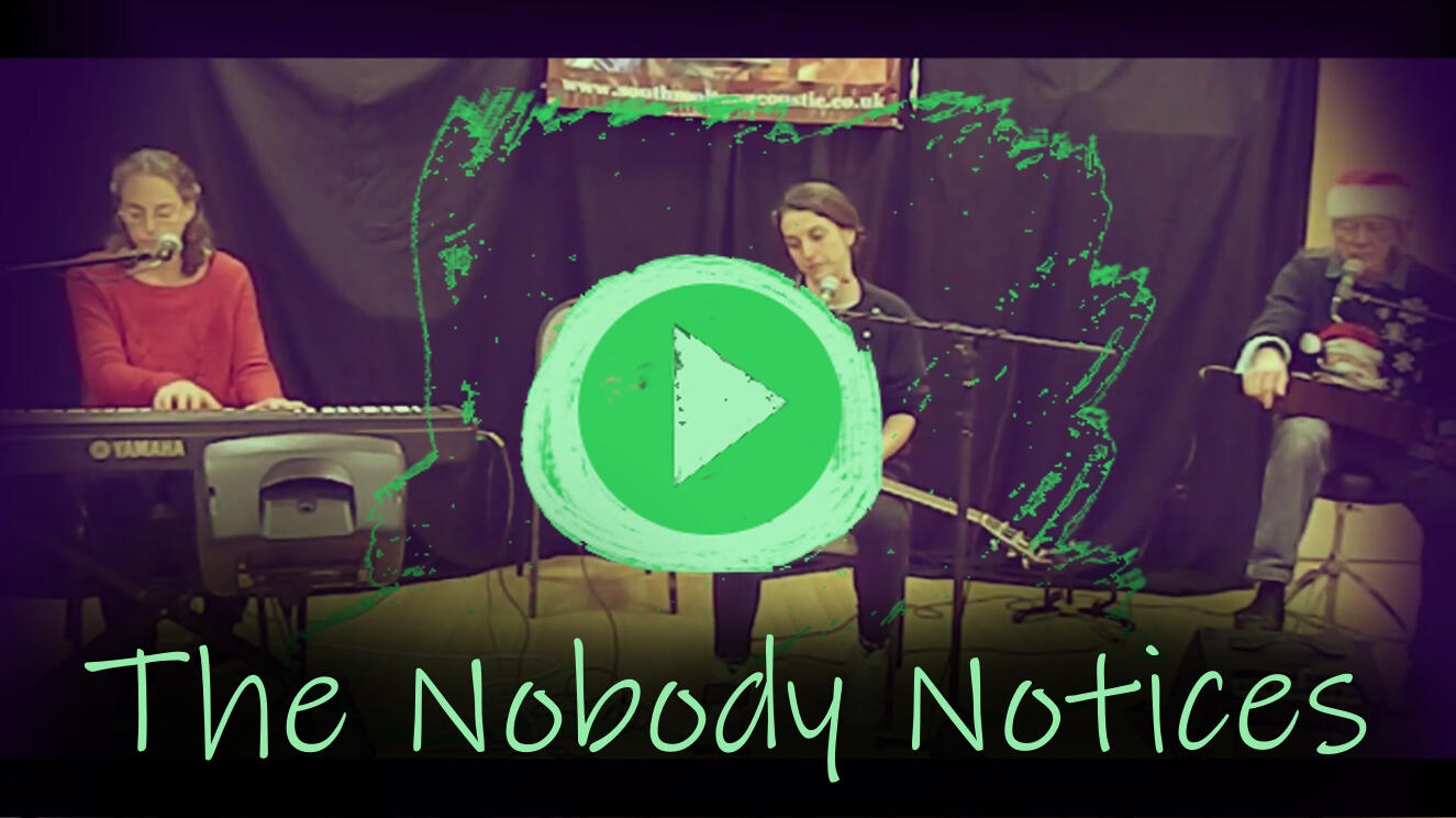 The Nobody Notices The Nobody Notices